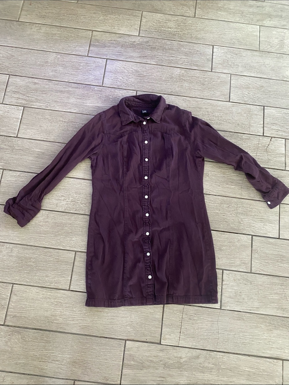 Lee Men’s Long-Sleeve Button-Down Shirt in Plum